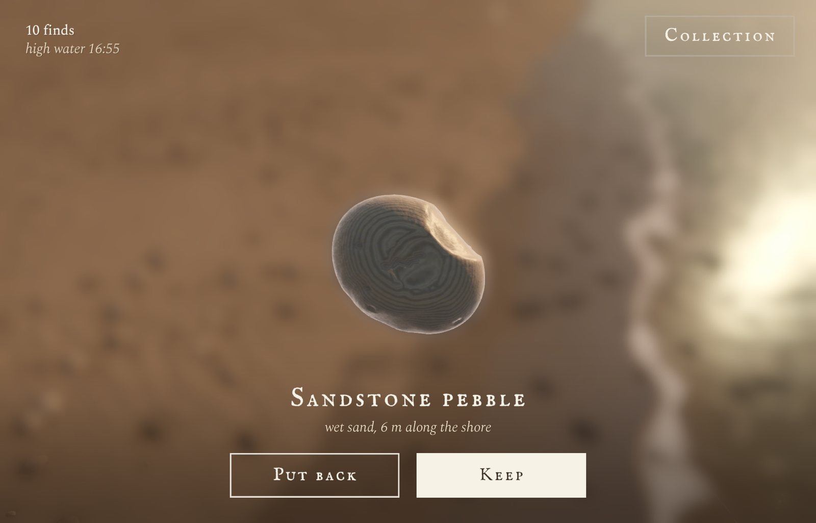 A sandstone pebble held up close, named and placed: wet sand, 6 m along the shore. Put back and Keep buttons below.